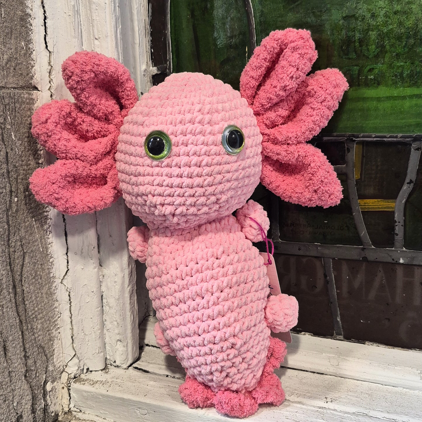 Peluche Axolotl