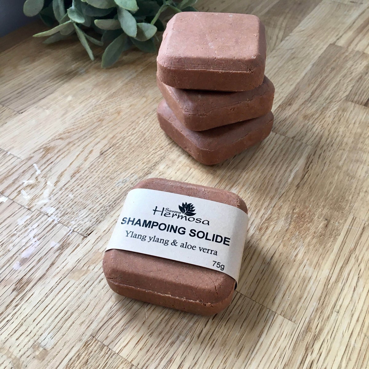 Shampoing Solide Ylang Ylang & Aloe Vera