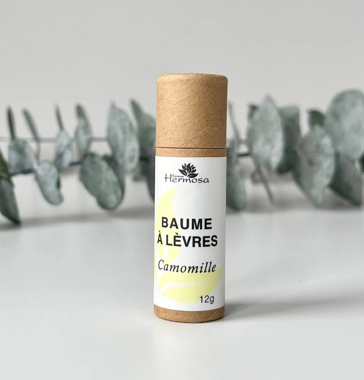 Baume à Lèvres