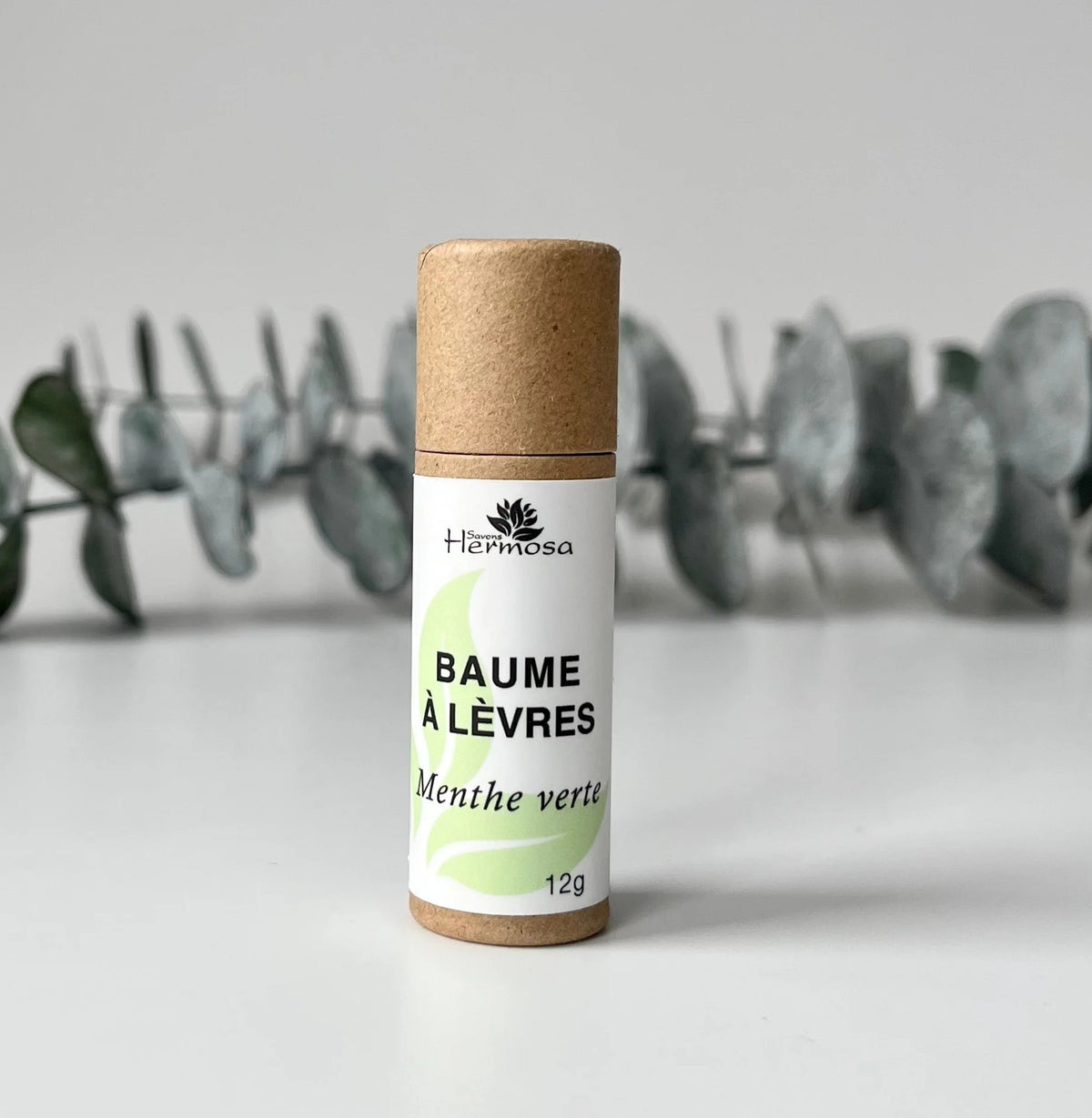 Baume à Lèvres
