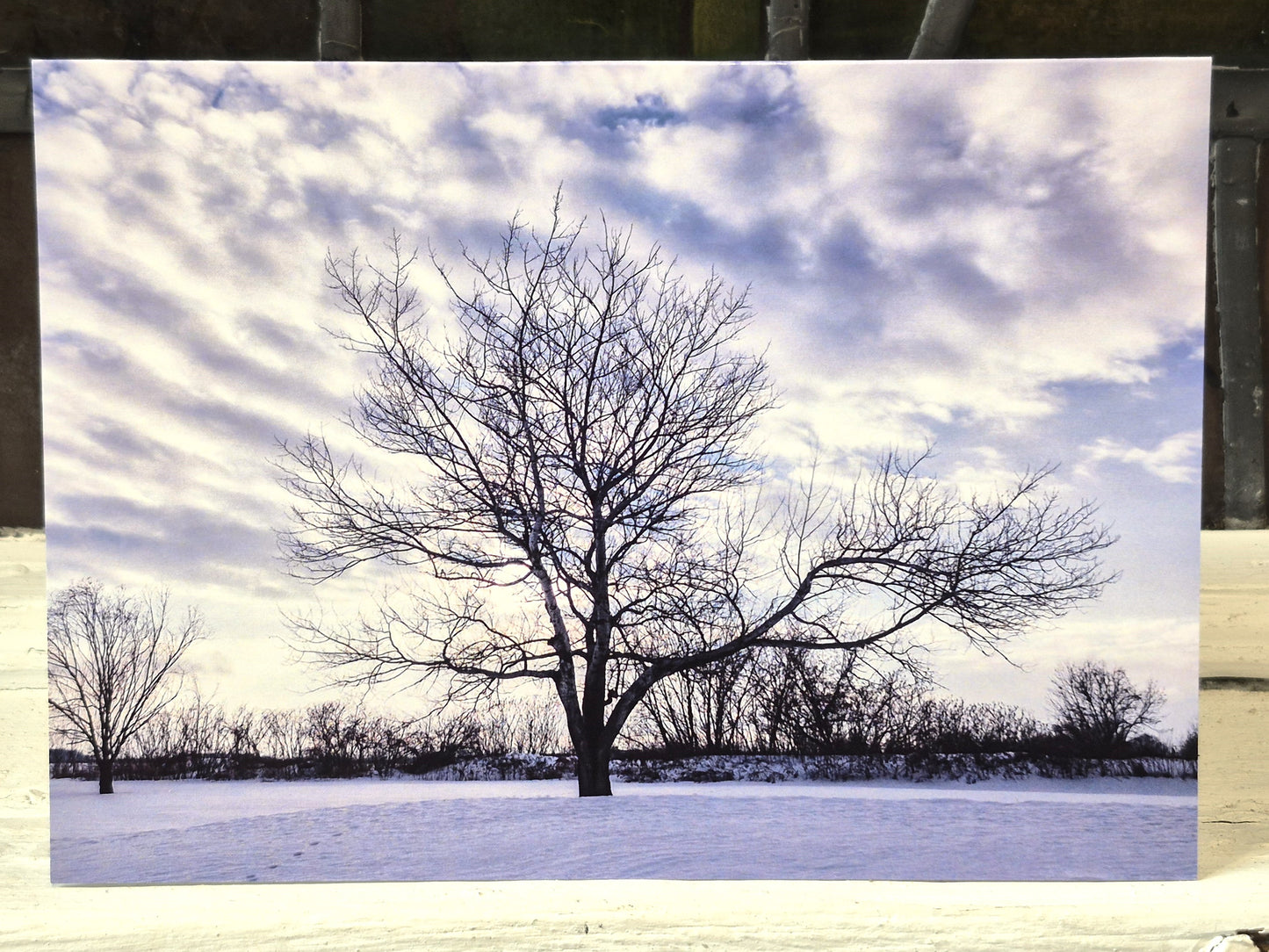 Carte Hivernale - Ghyslaine Payant