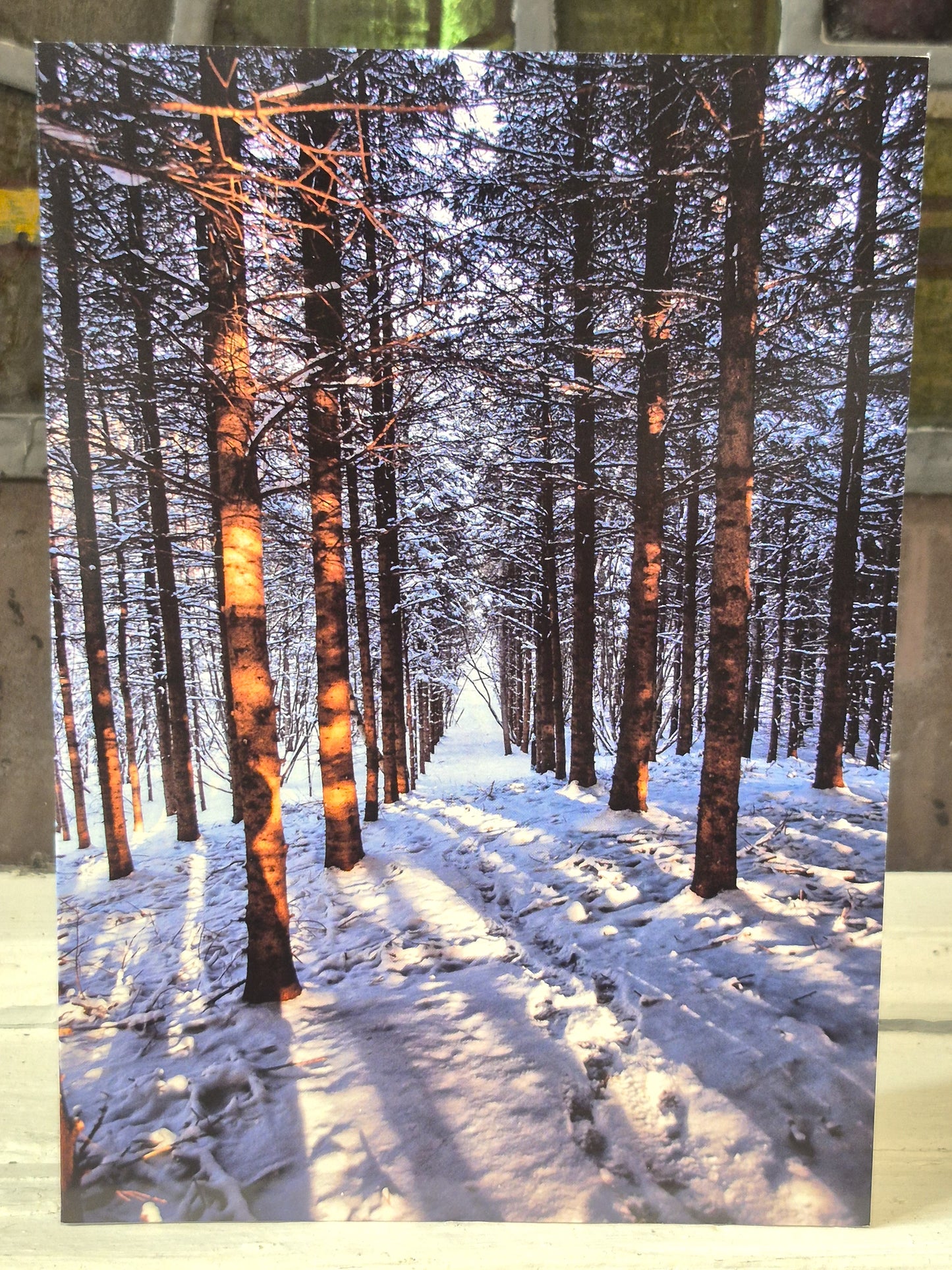 Carte Hivernale - Ghyslaine Payant