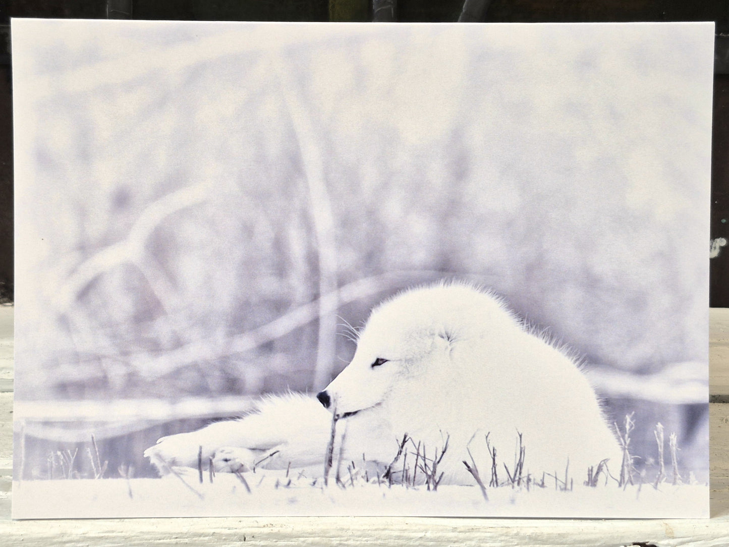 Carte Hivernale - Ghyslaine Payant