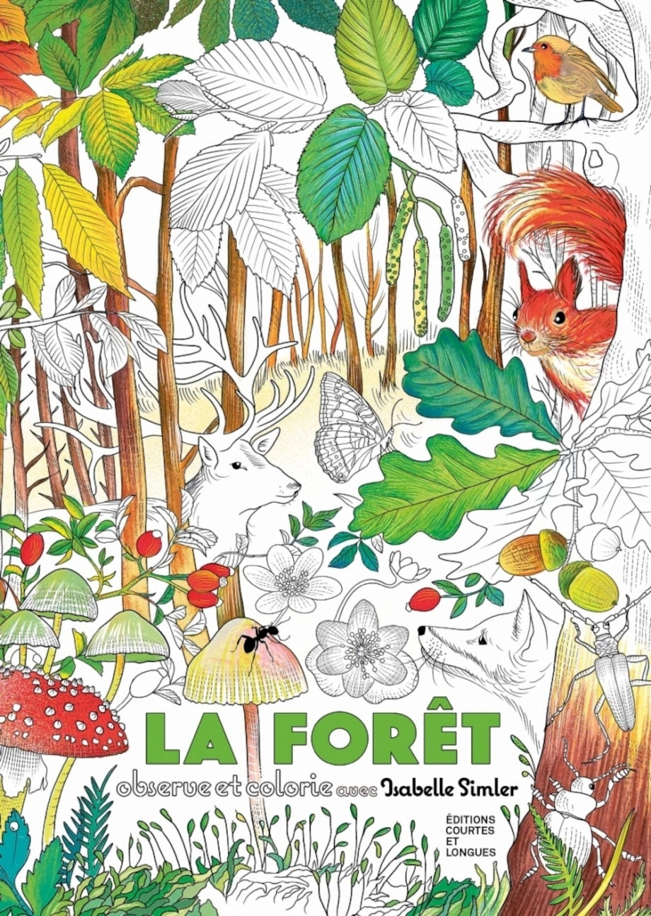 La Forêt - Observe et Colorie