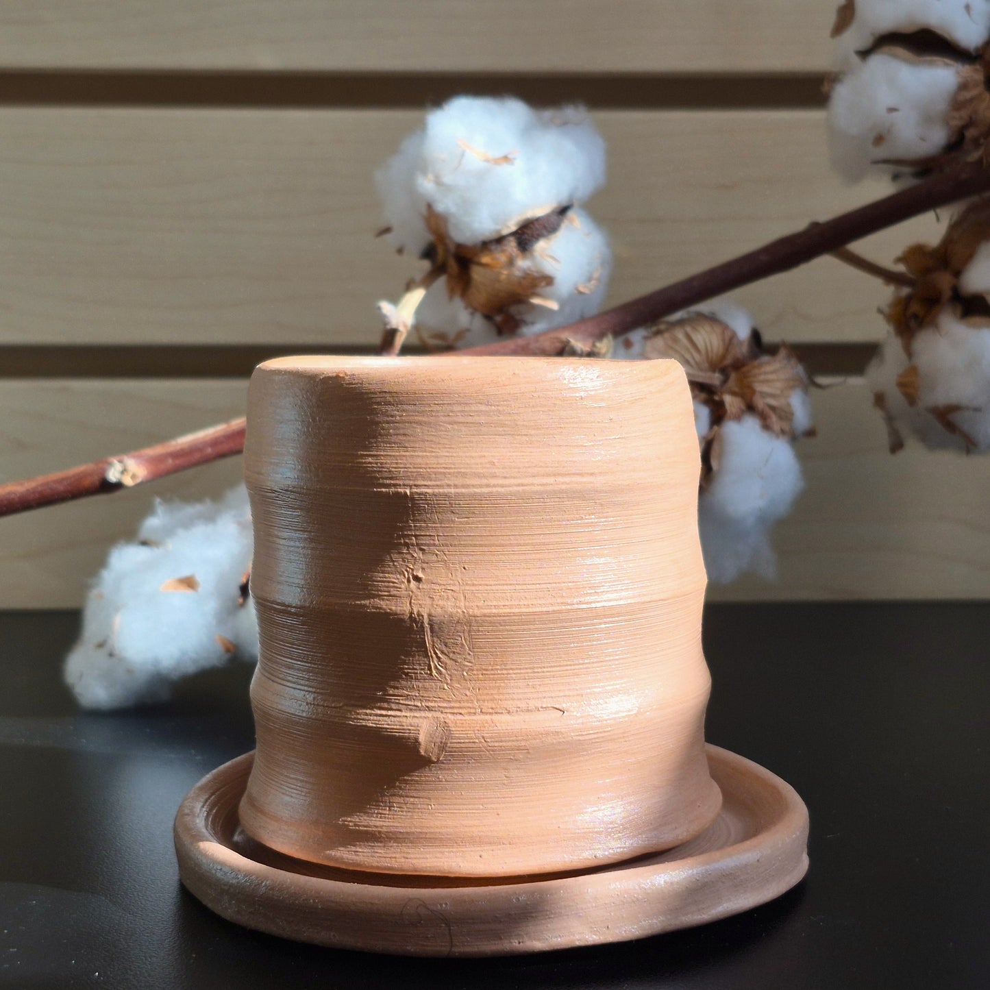 Pot & Soucoupe pour Plante en Argile - Format Petit