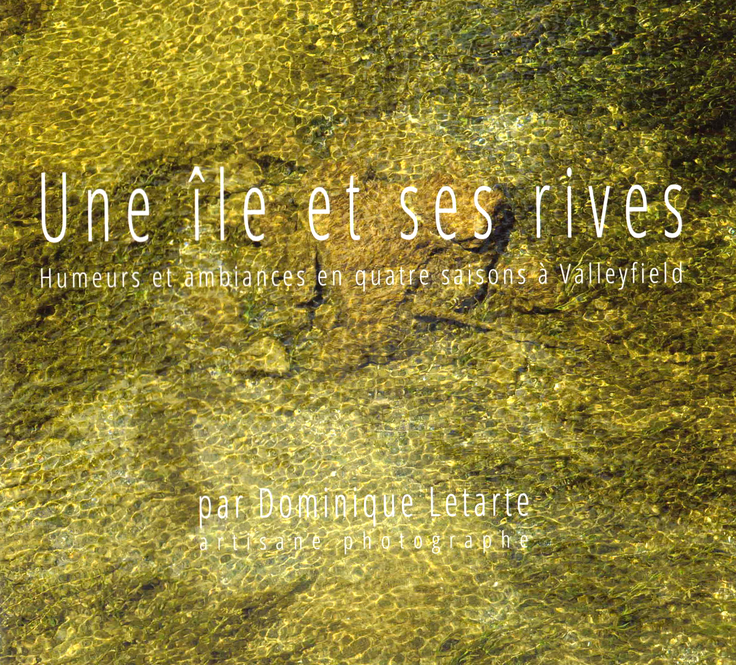 Une Île et ses Rives